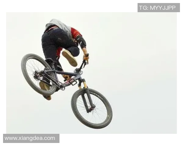 成都极限运动队的转型之路探索与深度解析