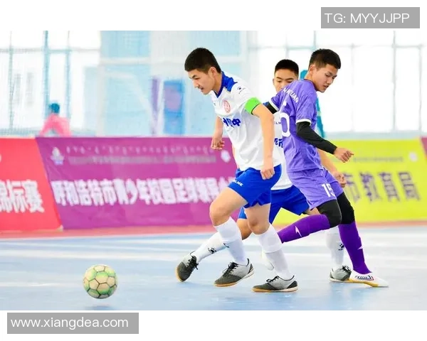 探索ivt足球的魅力与发展潜力助力青少年成长与竞技水平提升